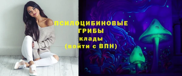 шишки Нефтегорск