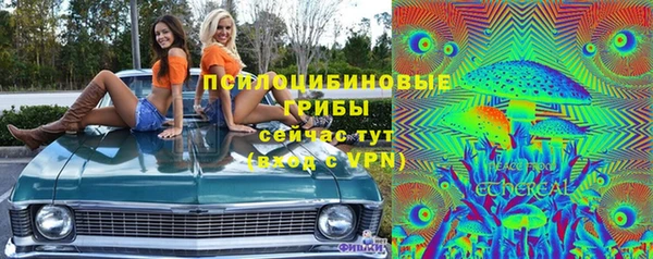 крисы Нефтекумск