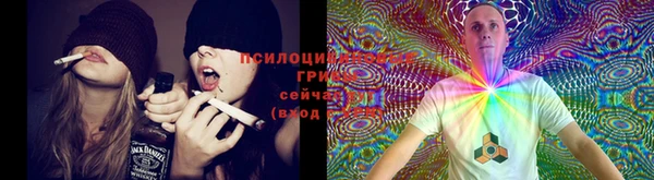 шишки Нефтегорск