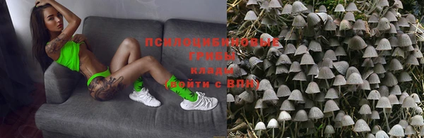 крисы Нефтекумск