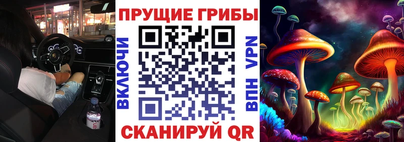 Галлюциногенные грибы ЛСД Собинка